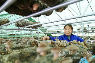 润溪 下足 绣花 功夫拔穷根